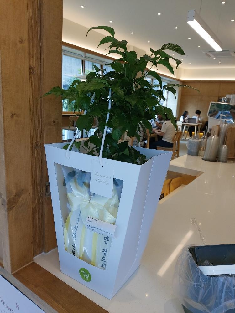리뷰사진-0