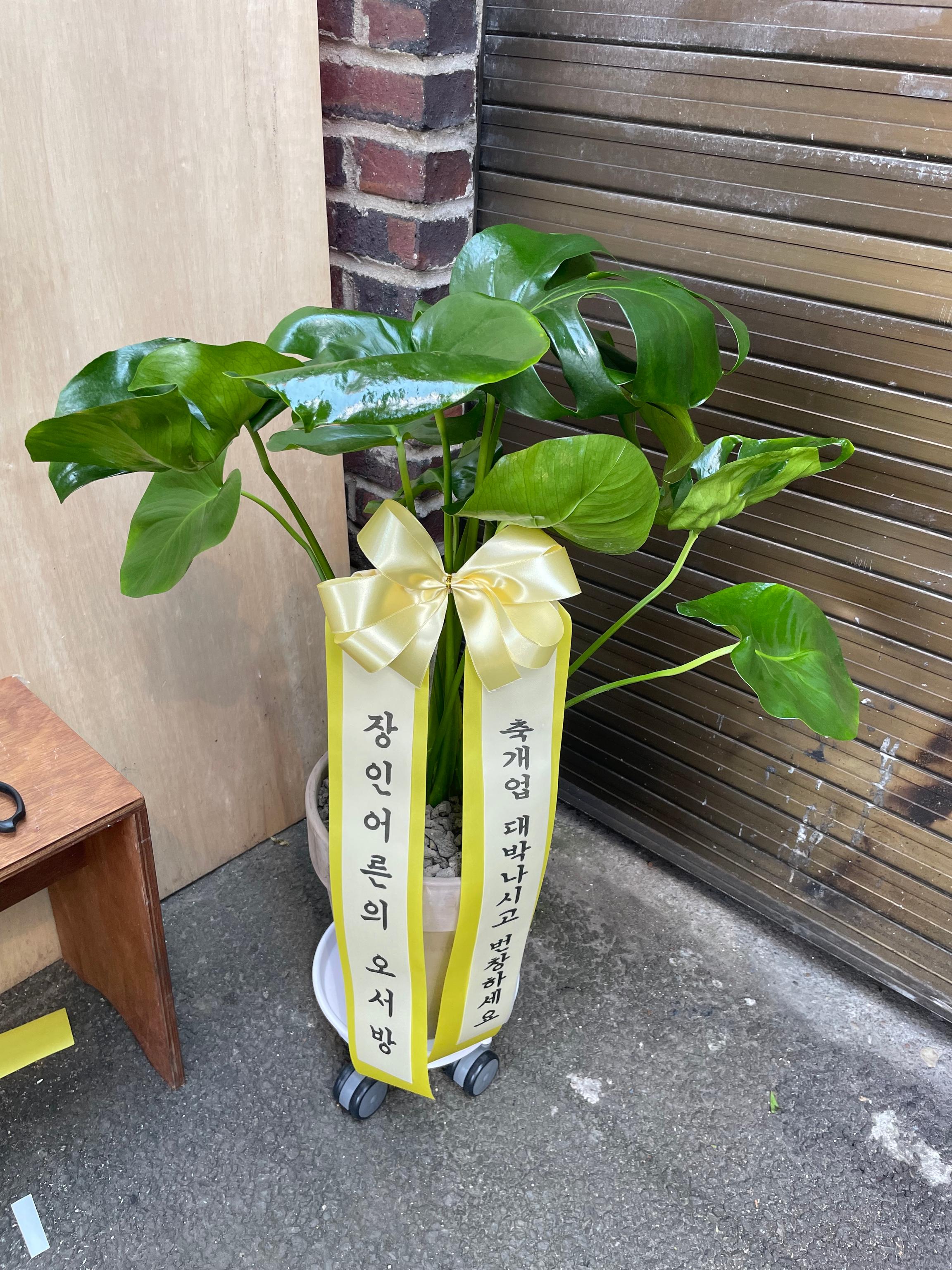 리뷰사진-0
