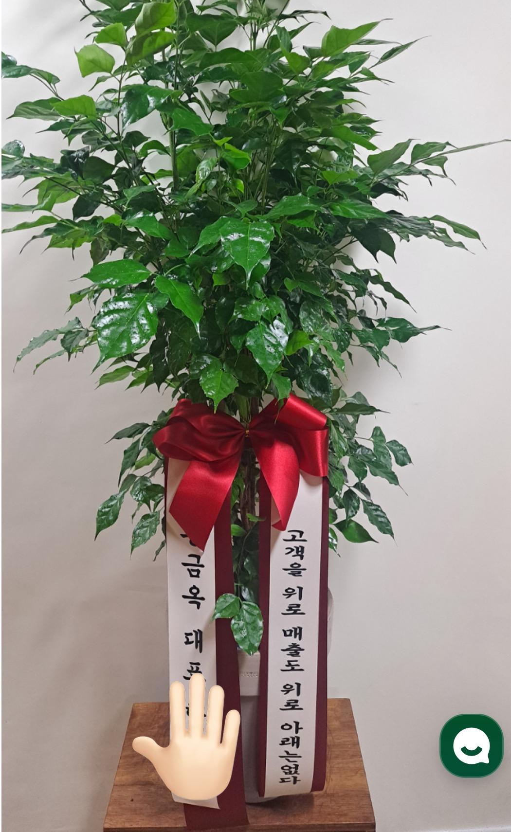 리뷰사진-0