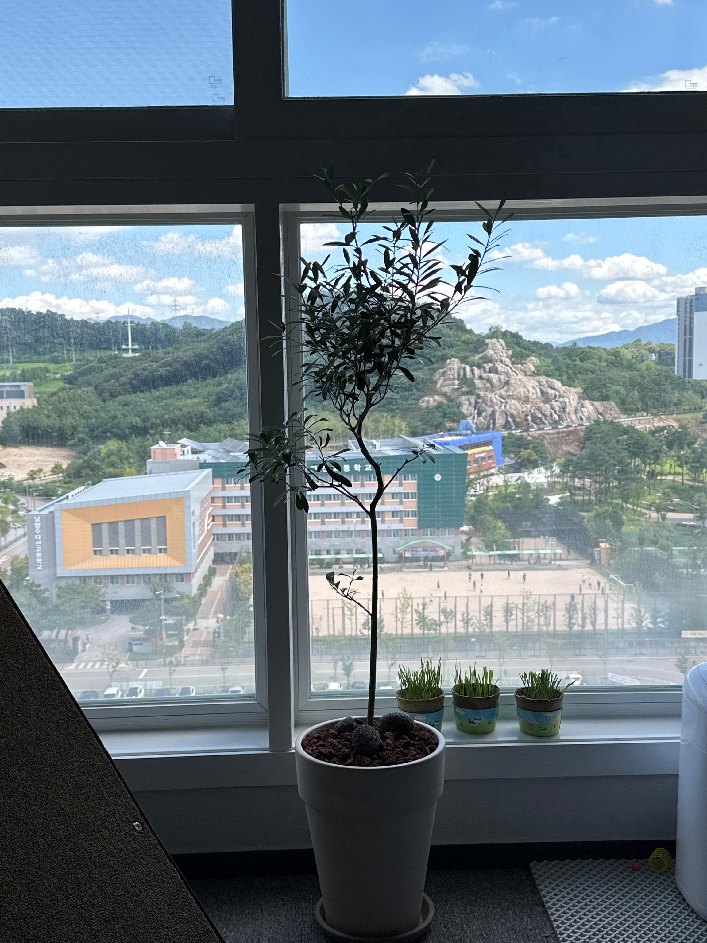 리뷰사진-0