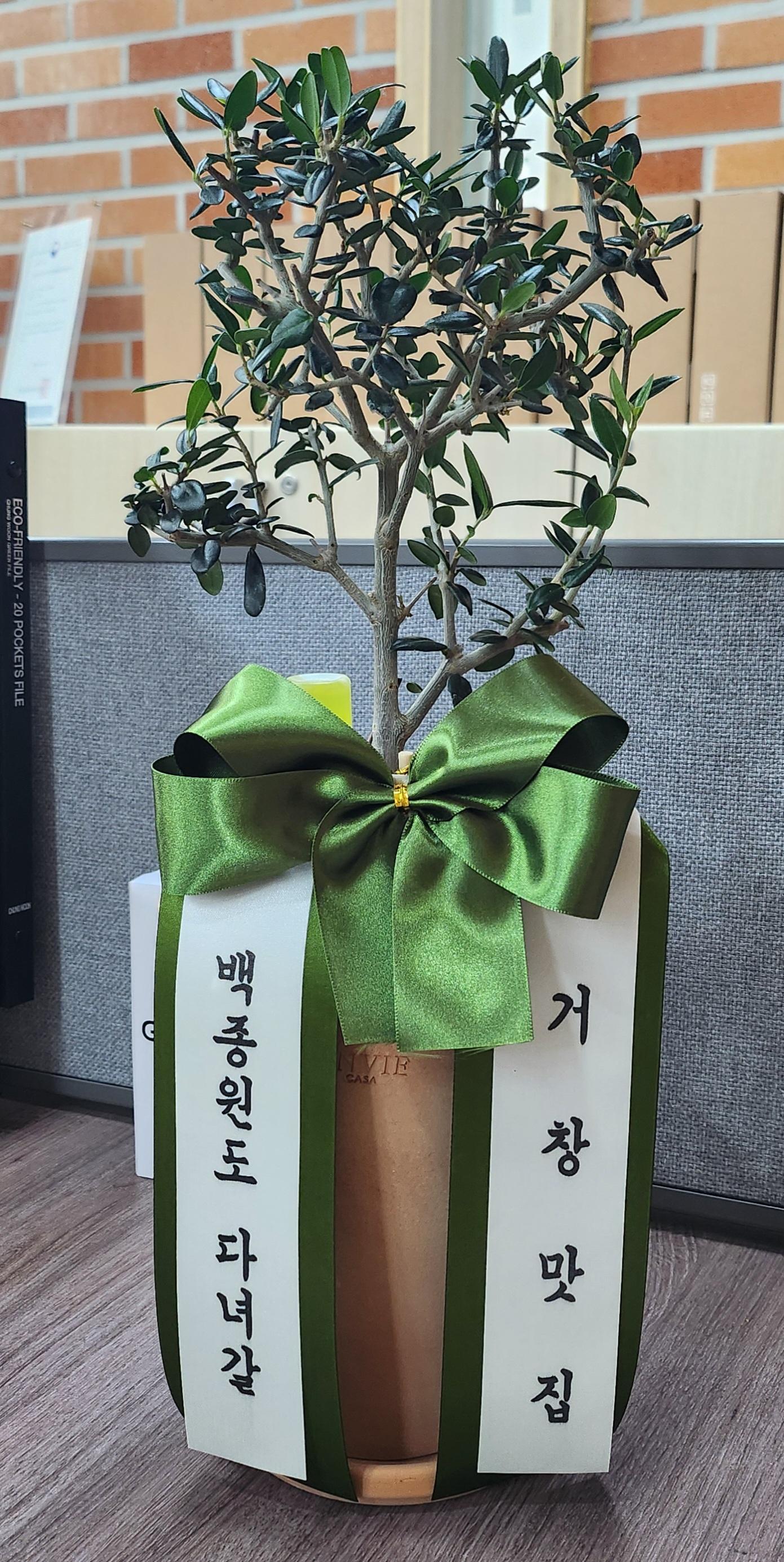 리뷰사진-0