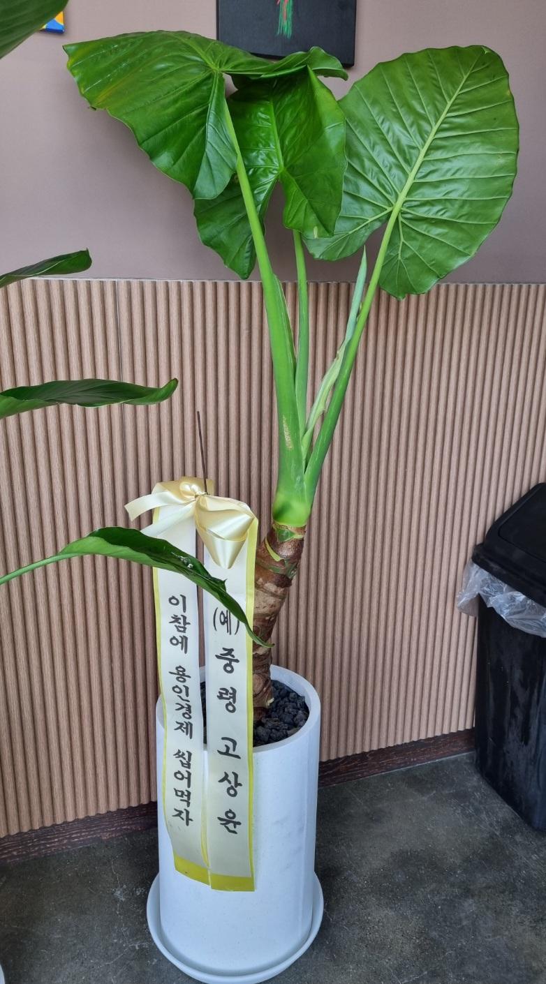 리뷰사진-0