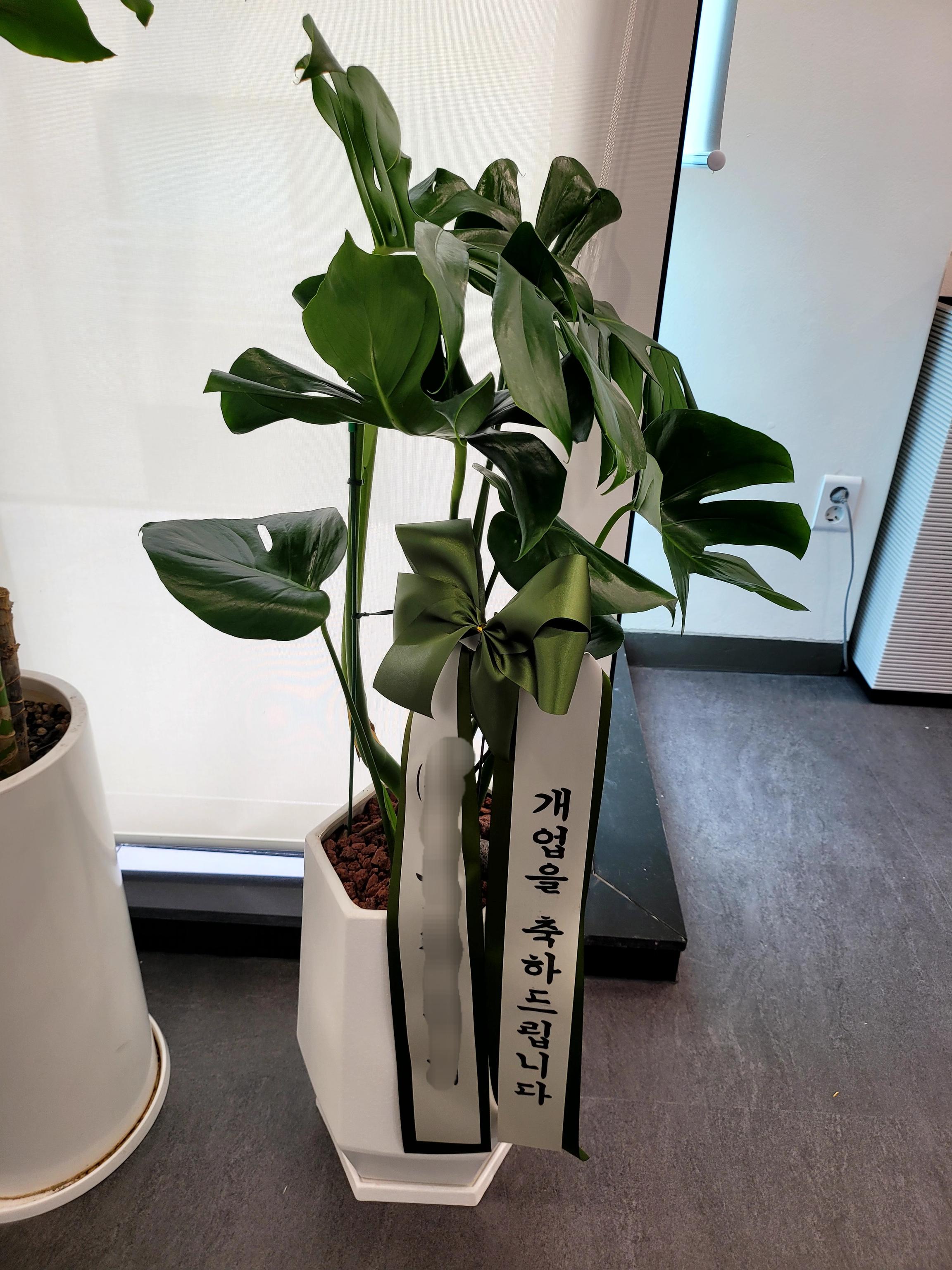 리뷰사진-0