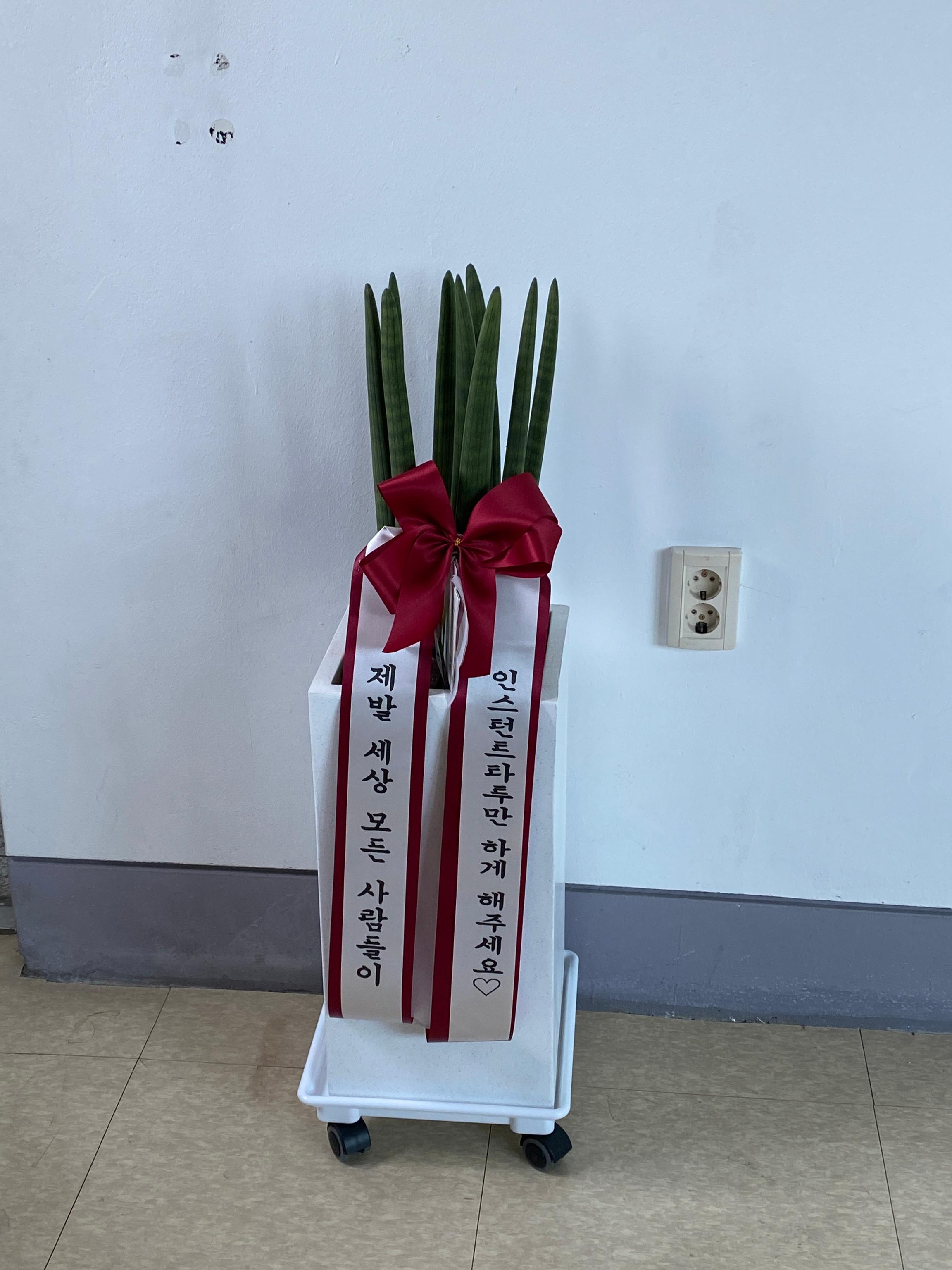 리뷰사진-0