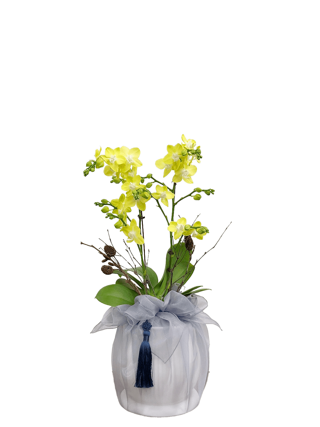 호접 노랑색(2대)-줄무늬 화이트+그레이 보자기