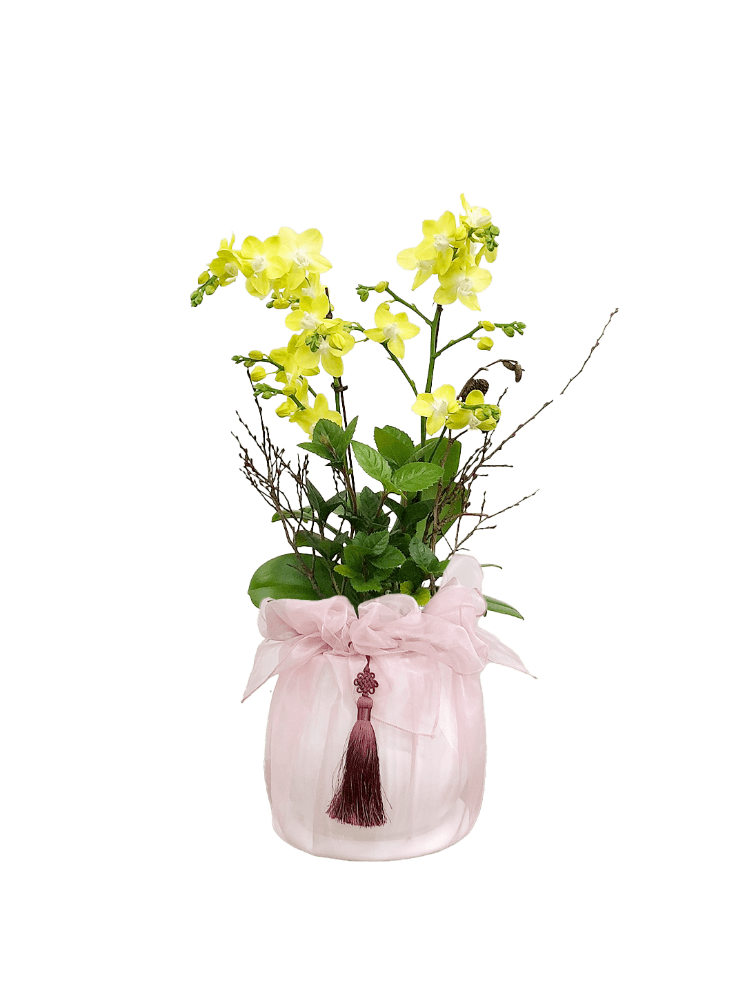 호접 노랑색(2대)-줄무늬 화이트+연분홍 보자기