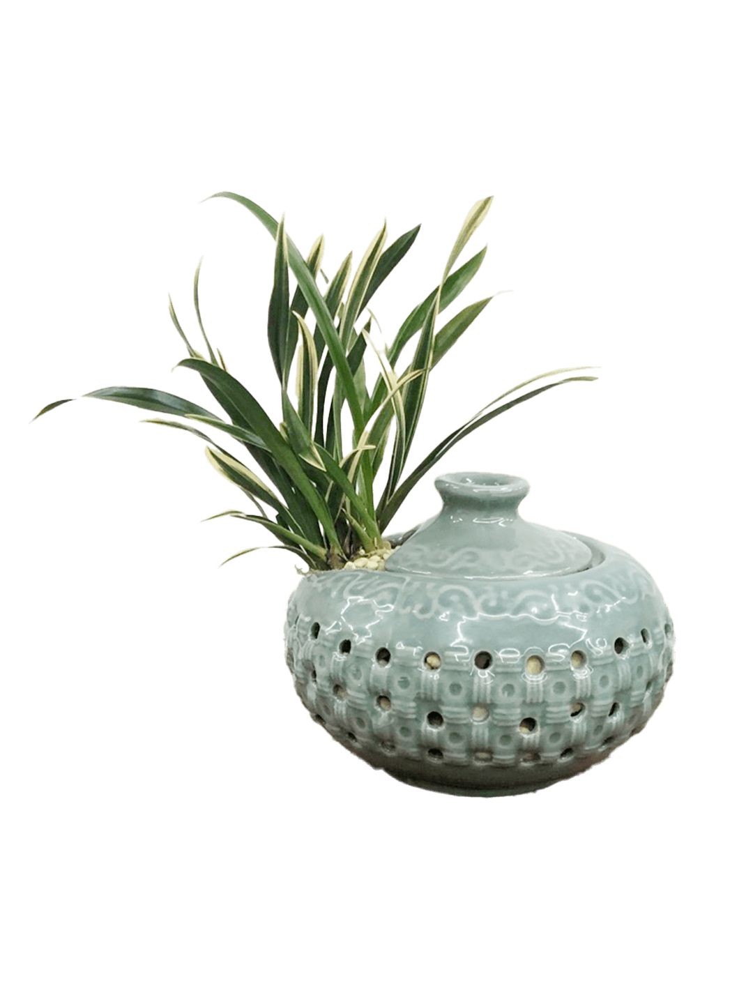 대국-뚜껑 청자