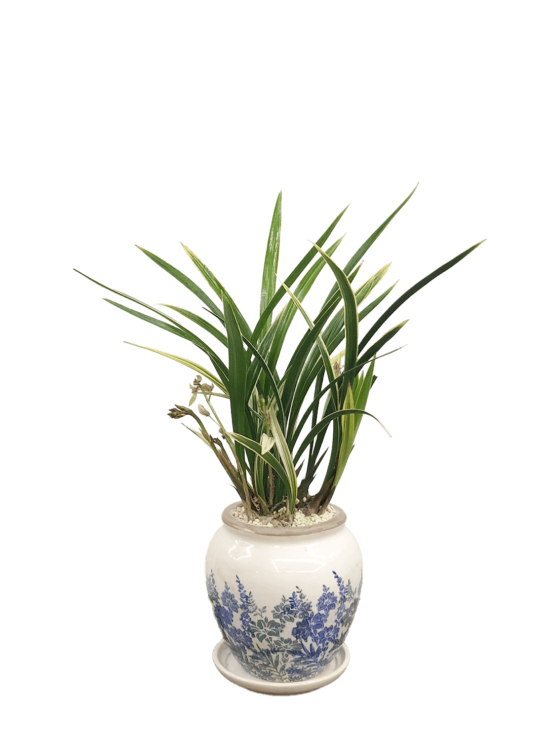 황용금-세라믹 꽃무늬 블루