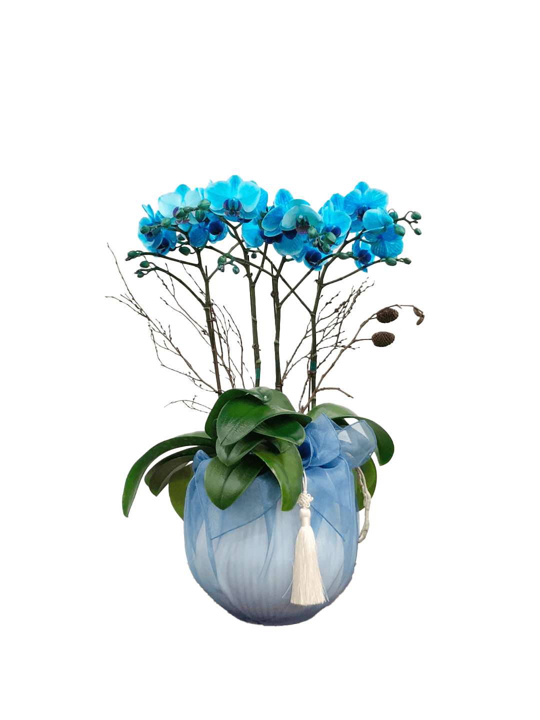 호접 블루(4대)-줄무늬 화이트+블루 보자기