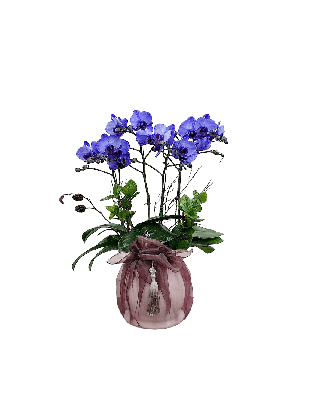 호접 아바타(4대)-줄무늬 화이트+자주 보자기
