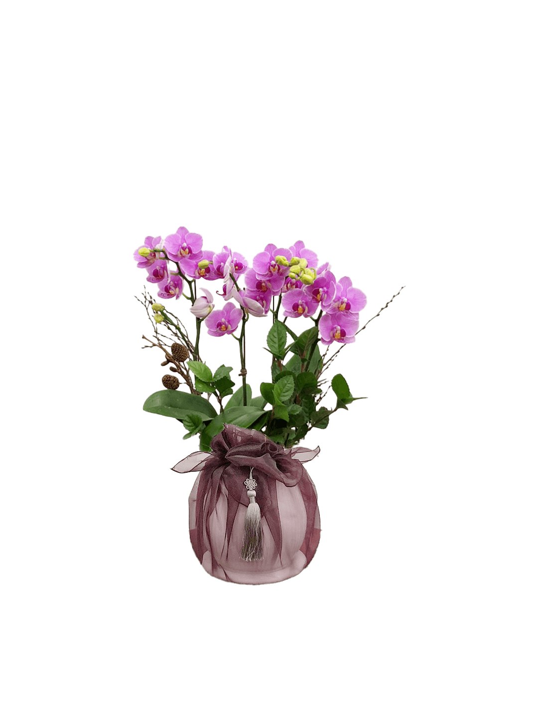 호접 분홍(4대)-줄무늬 화이트+자주 보자기