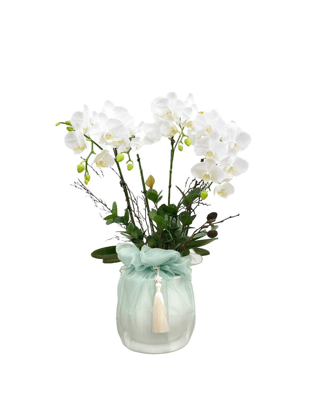 호접 화이트(4대)-줄무늬 화이트+옥색 보자기