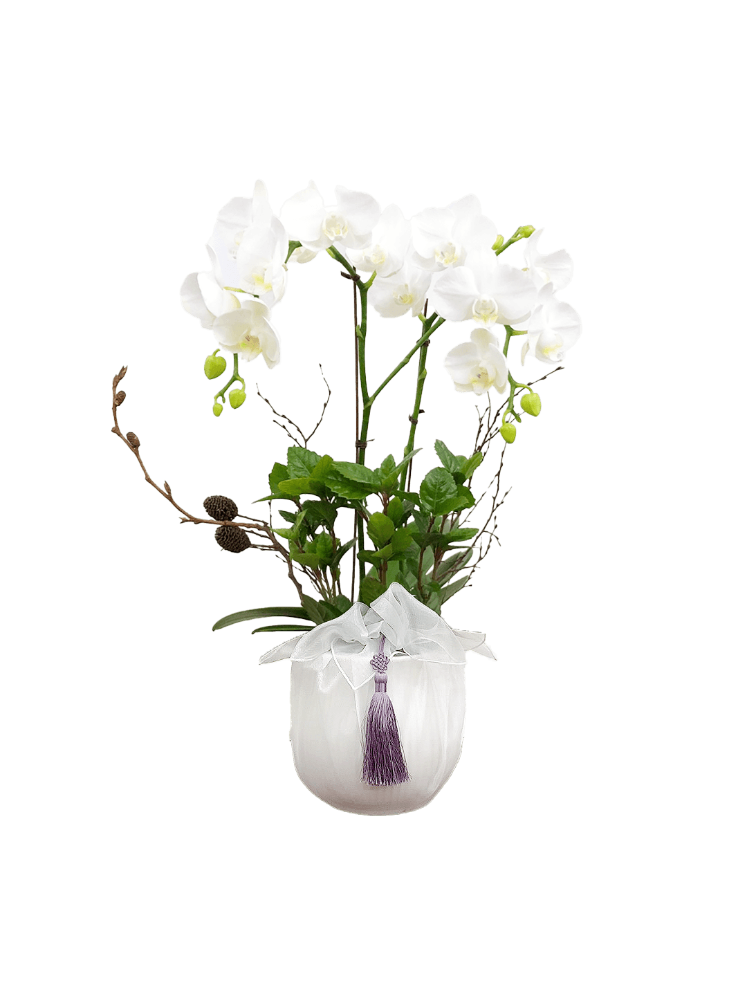 호접 화이트(2대)-줄무늬 화이트+화이트 보자기