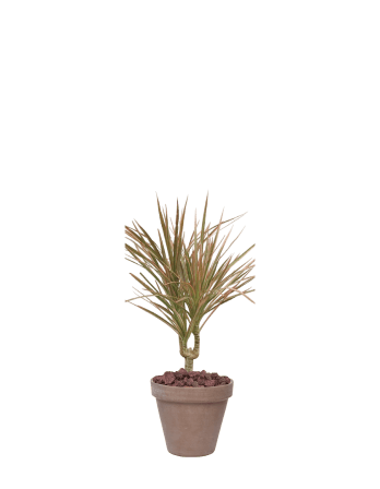 마지나타-토분 모카