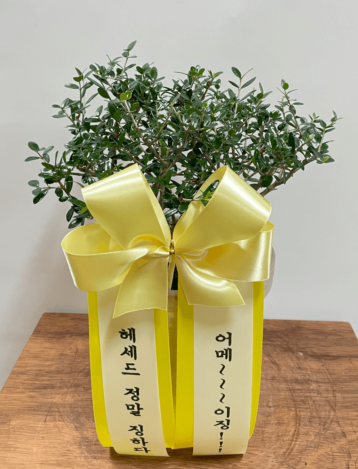 리뷰사진-0
