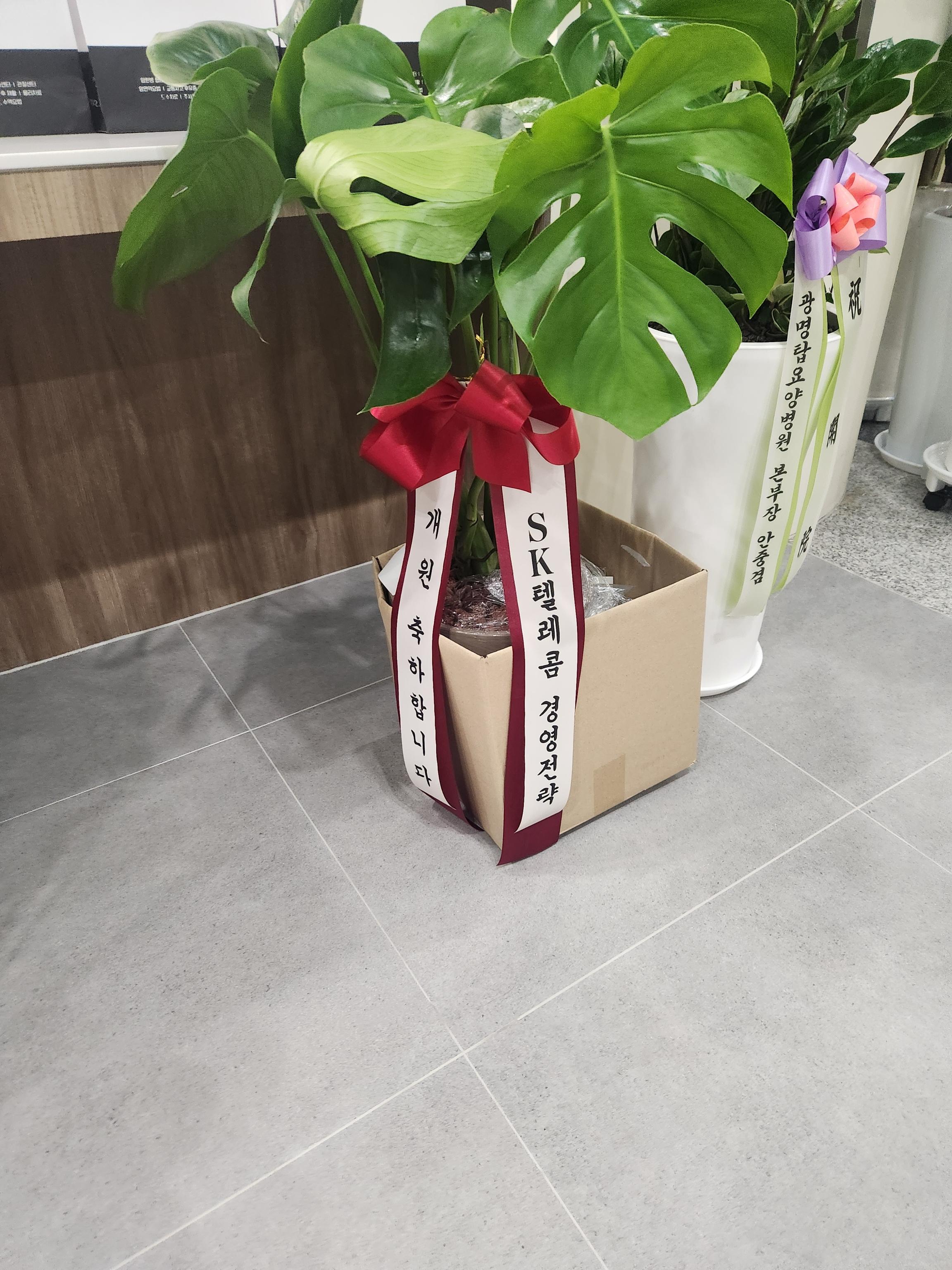 리뷰사진-0