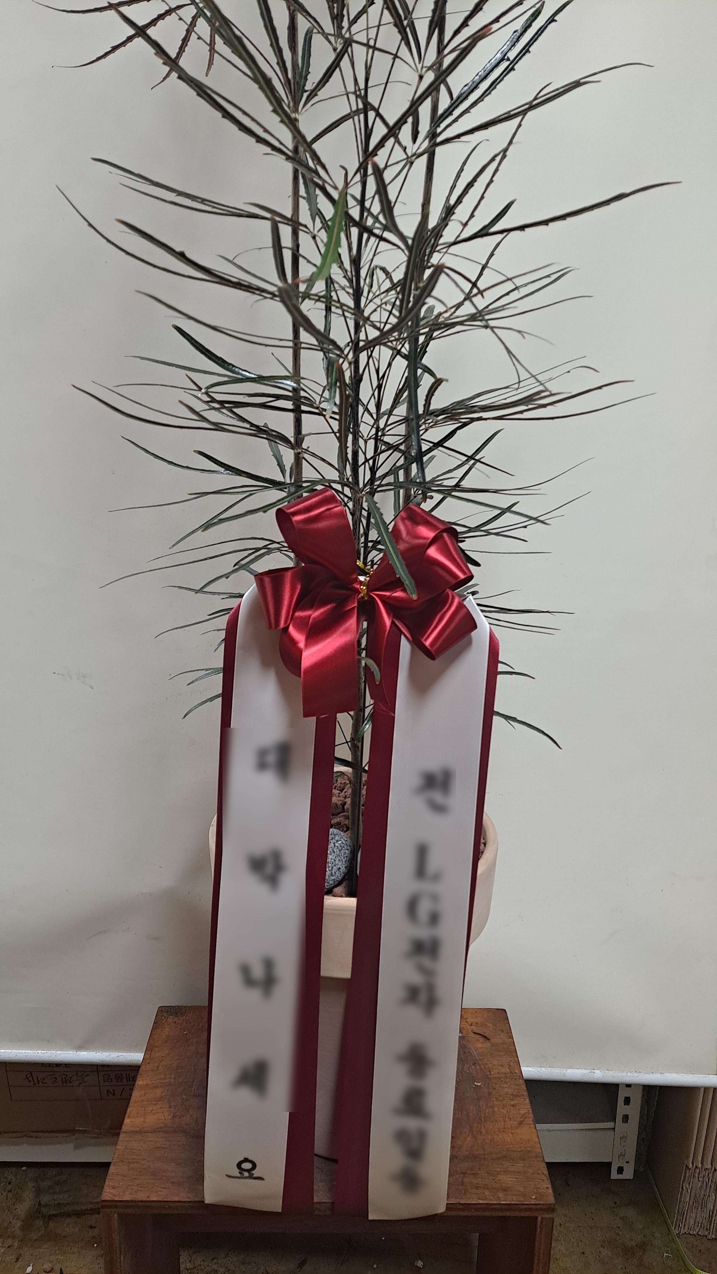 리뷰사진-0