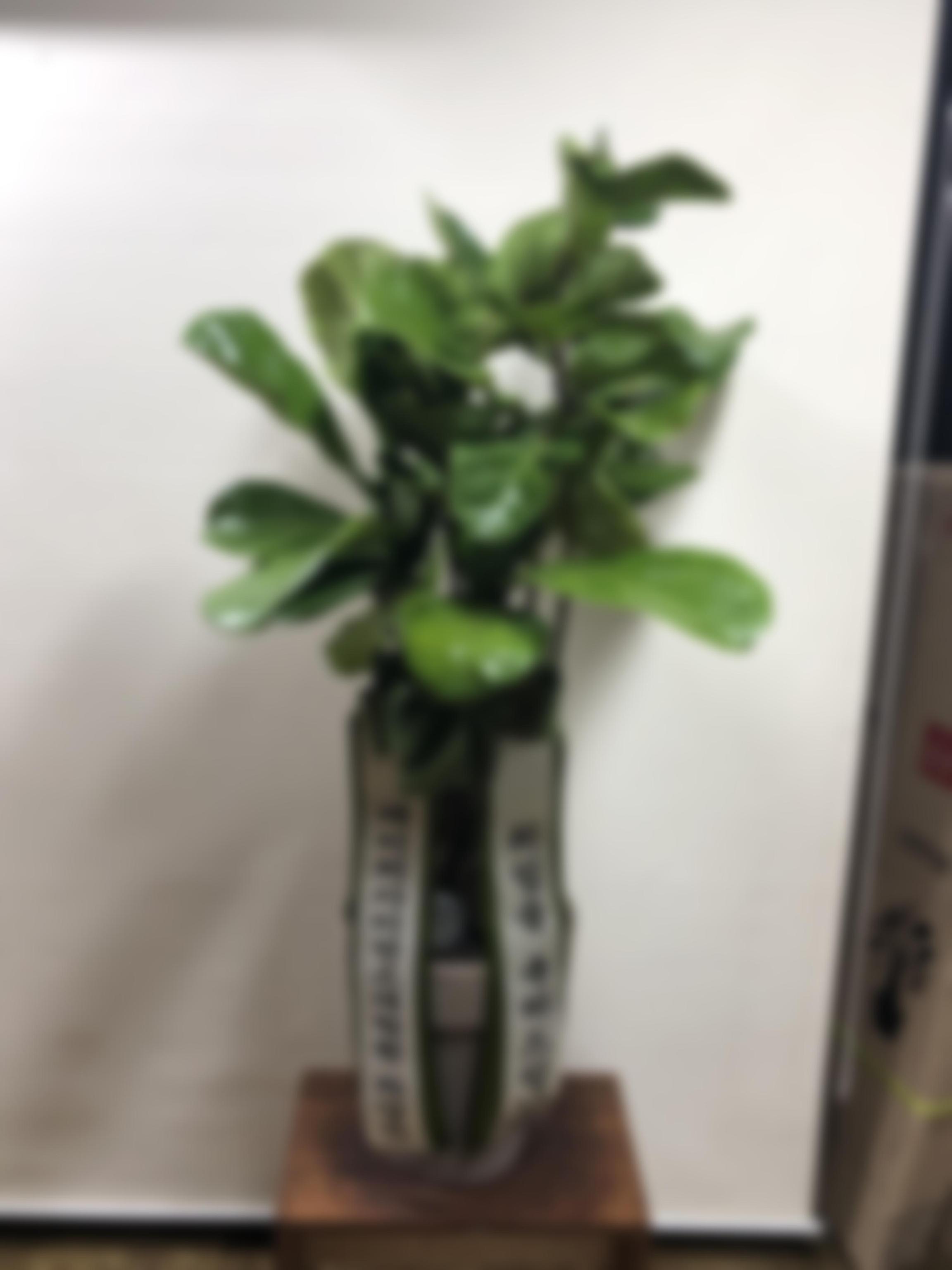 리뷰사진-0