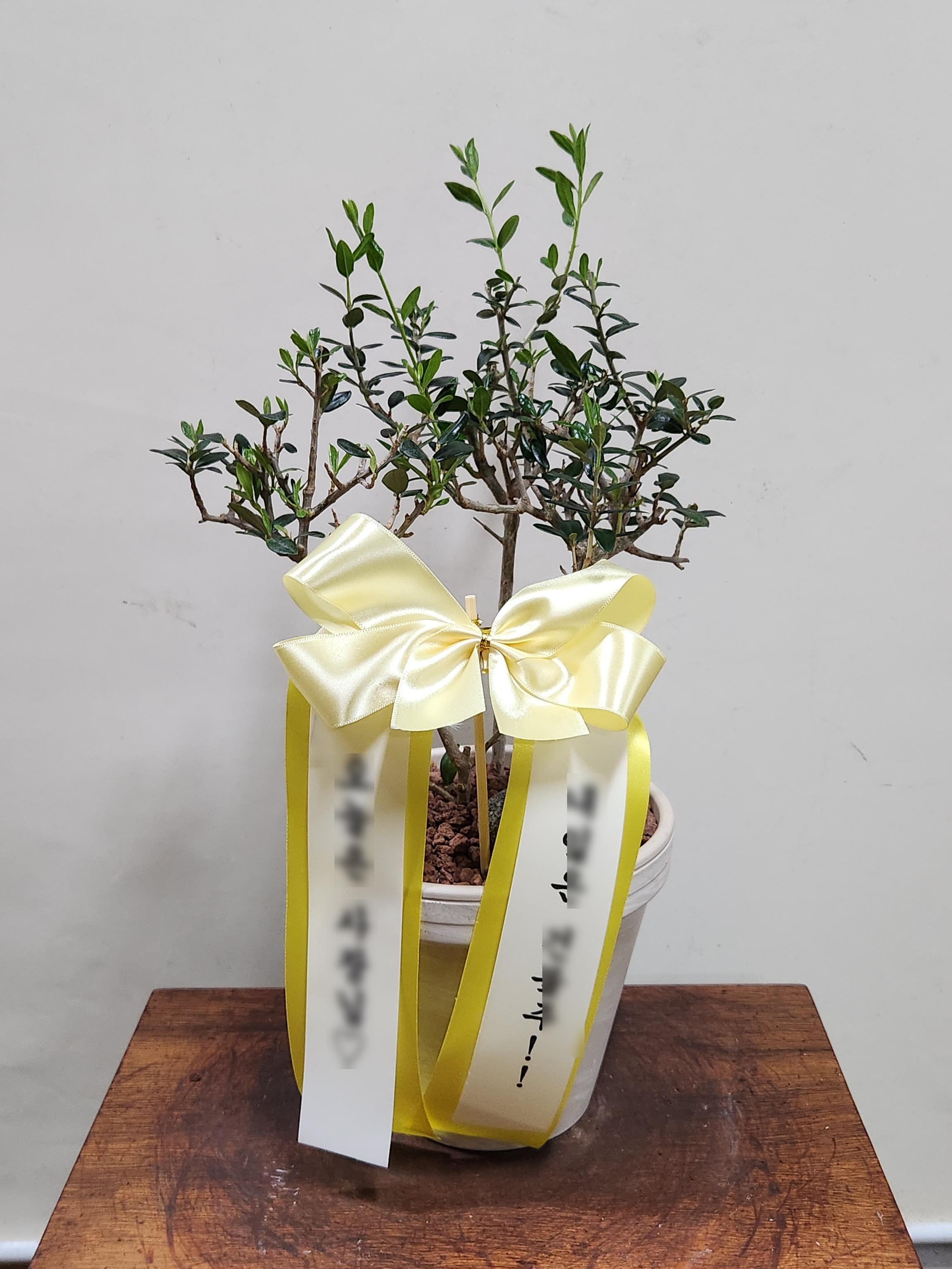 리뷰사진-0
