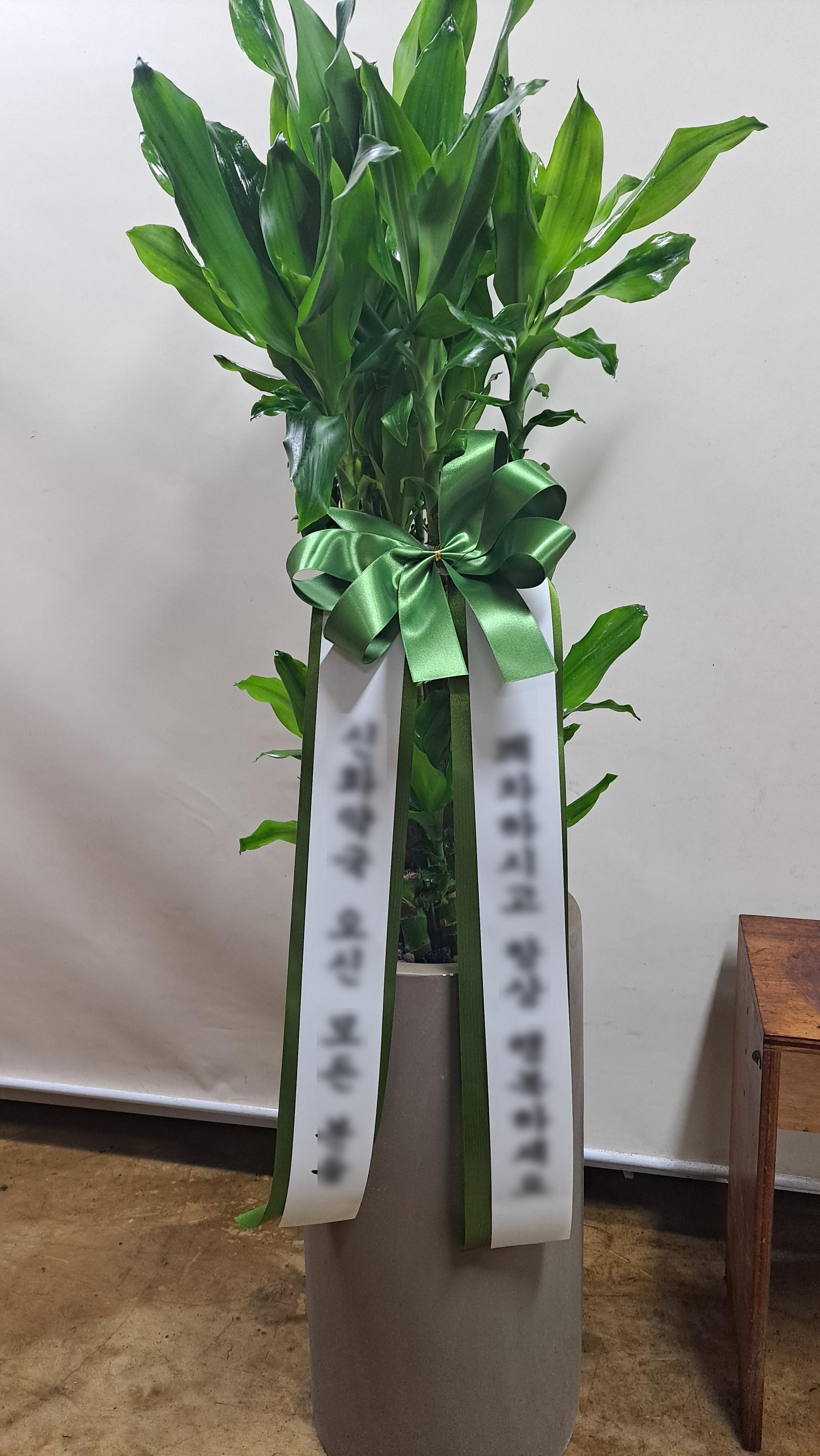 리뷰사진-0