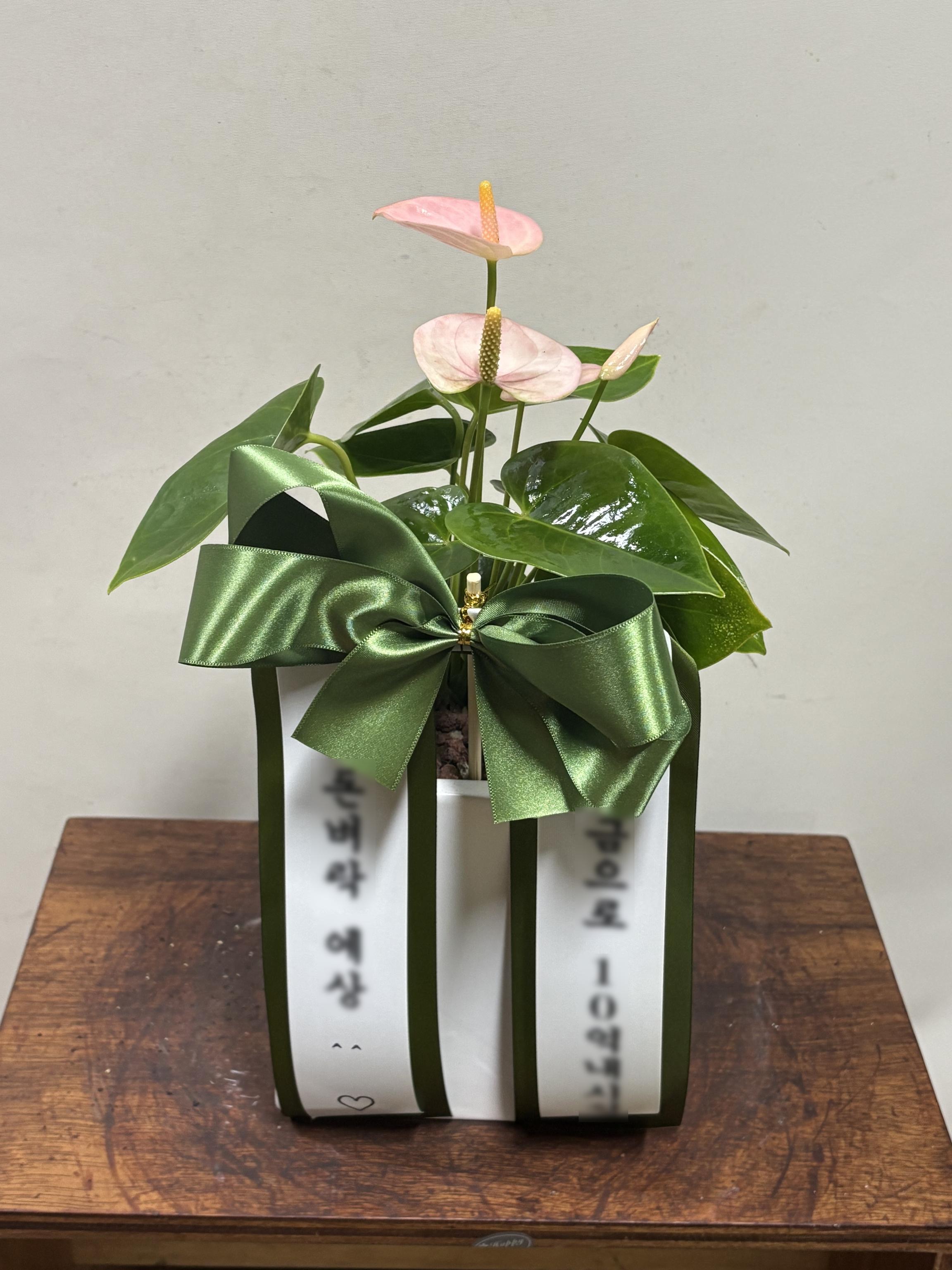 리뷰사진-0