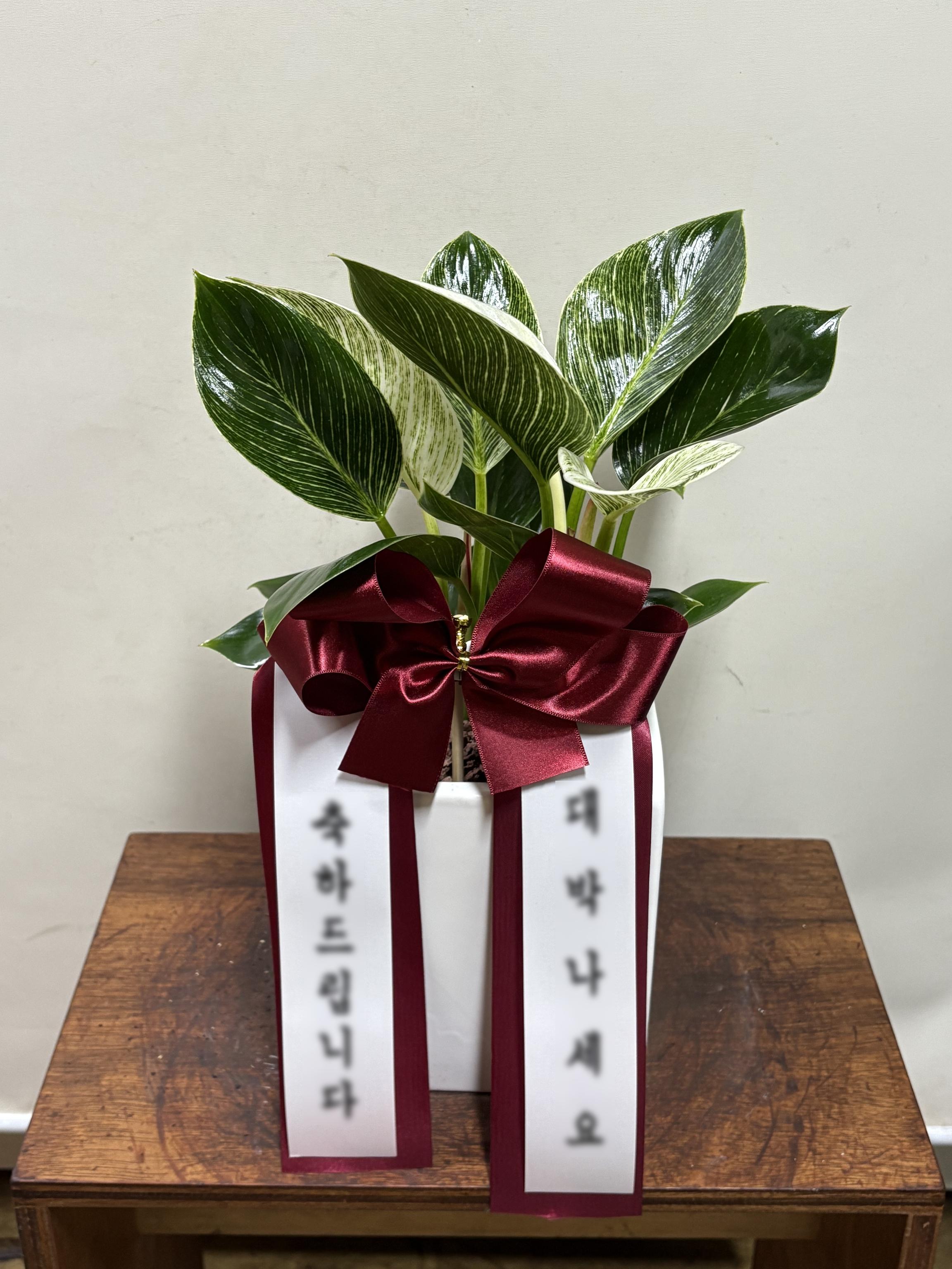 리뷰사진-1