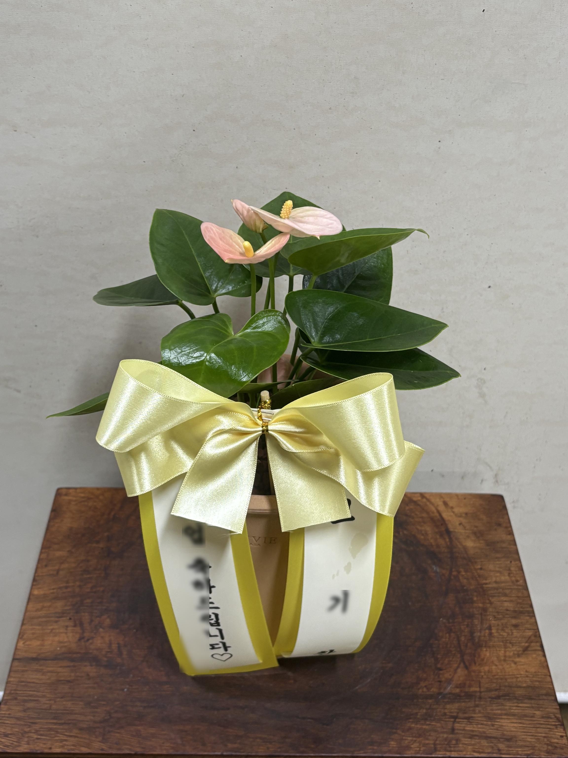 리뷰사진-1