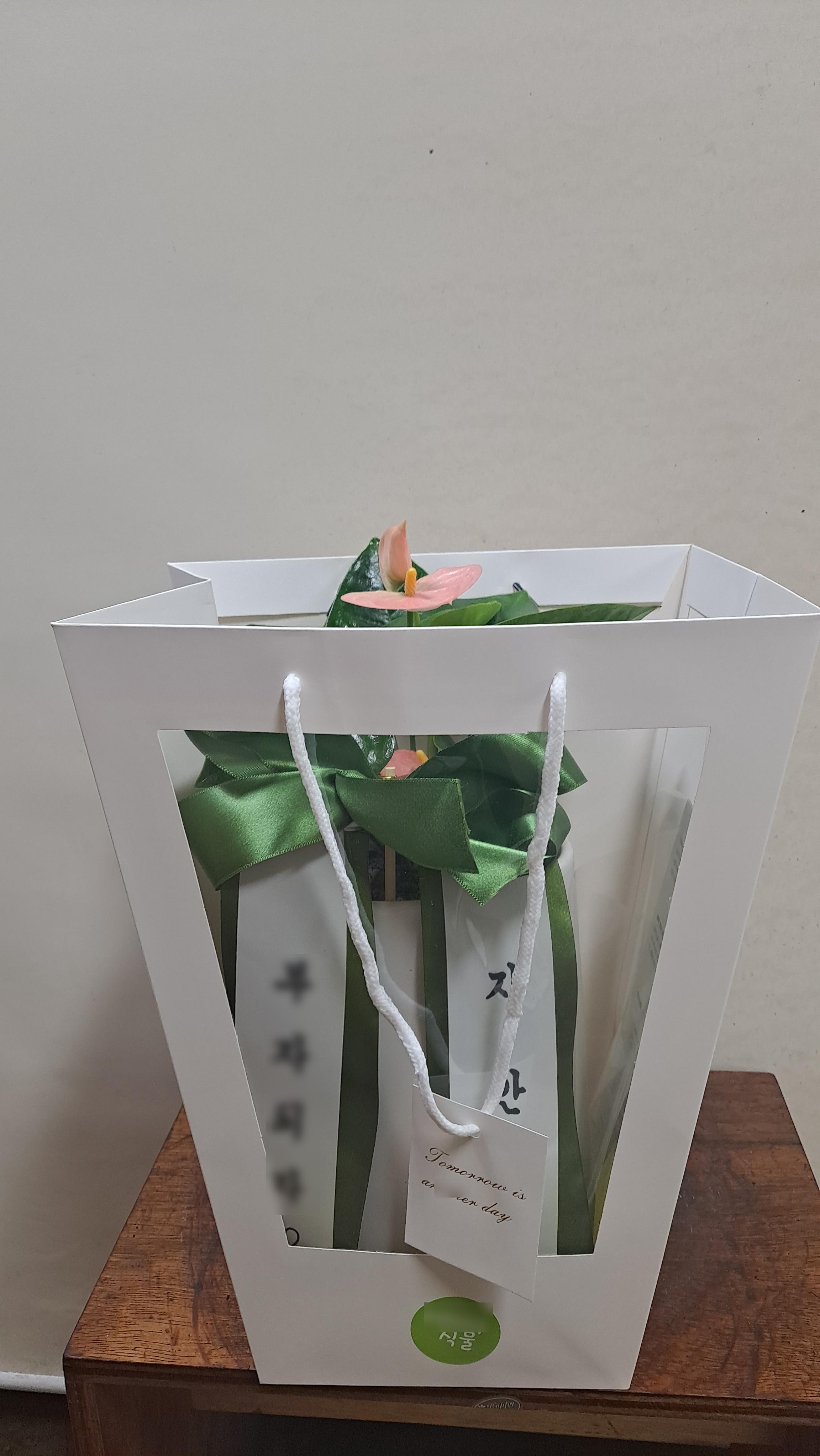 리뷰사진-1