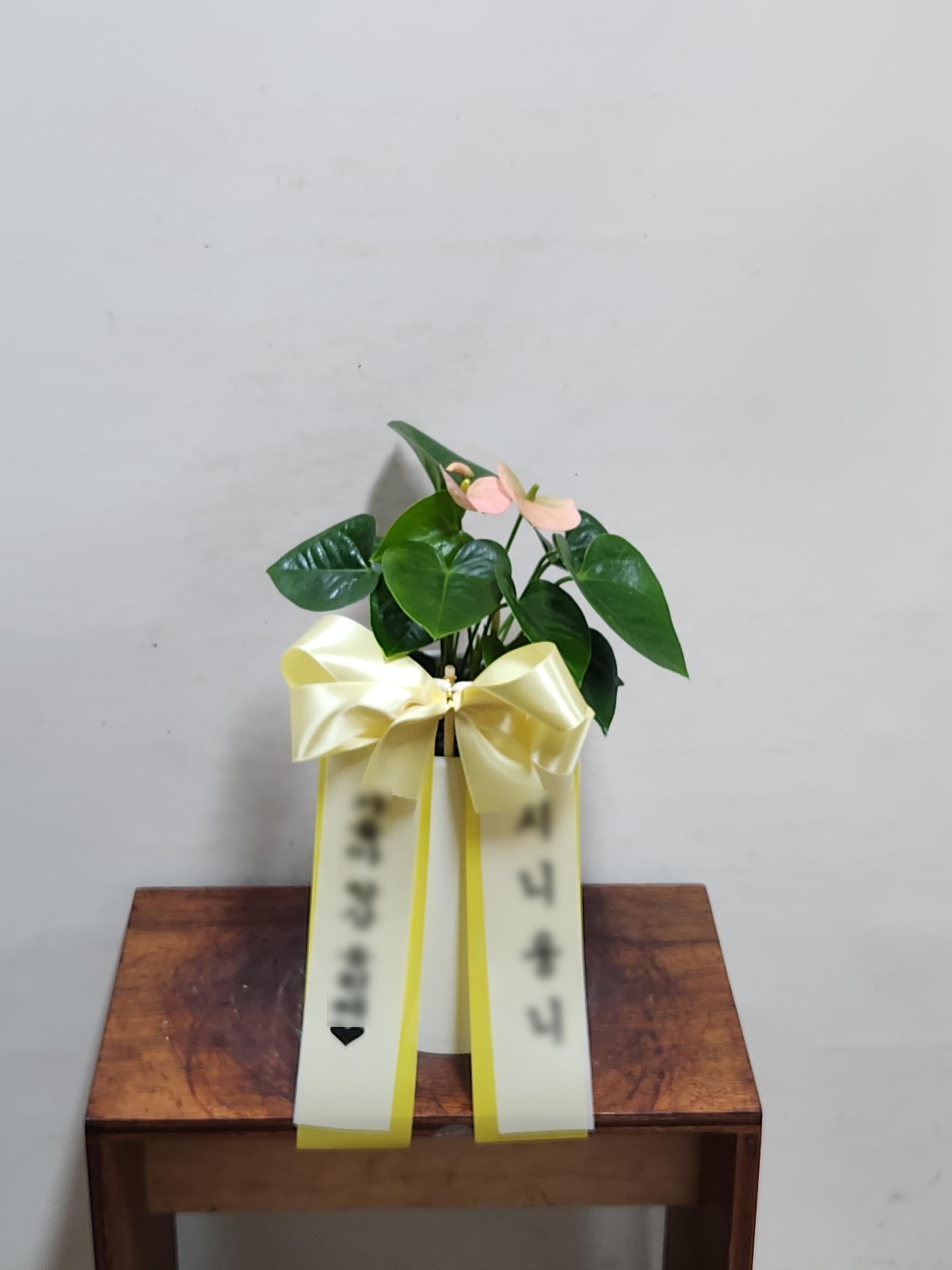 리뷰사진-0