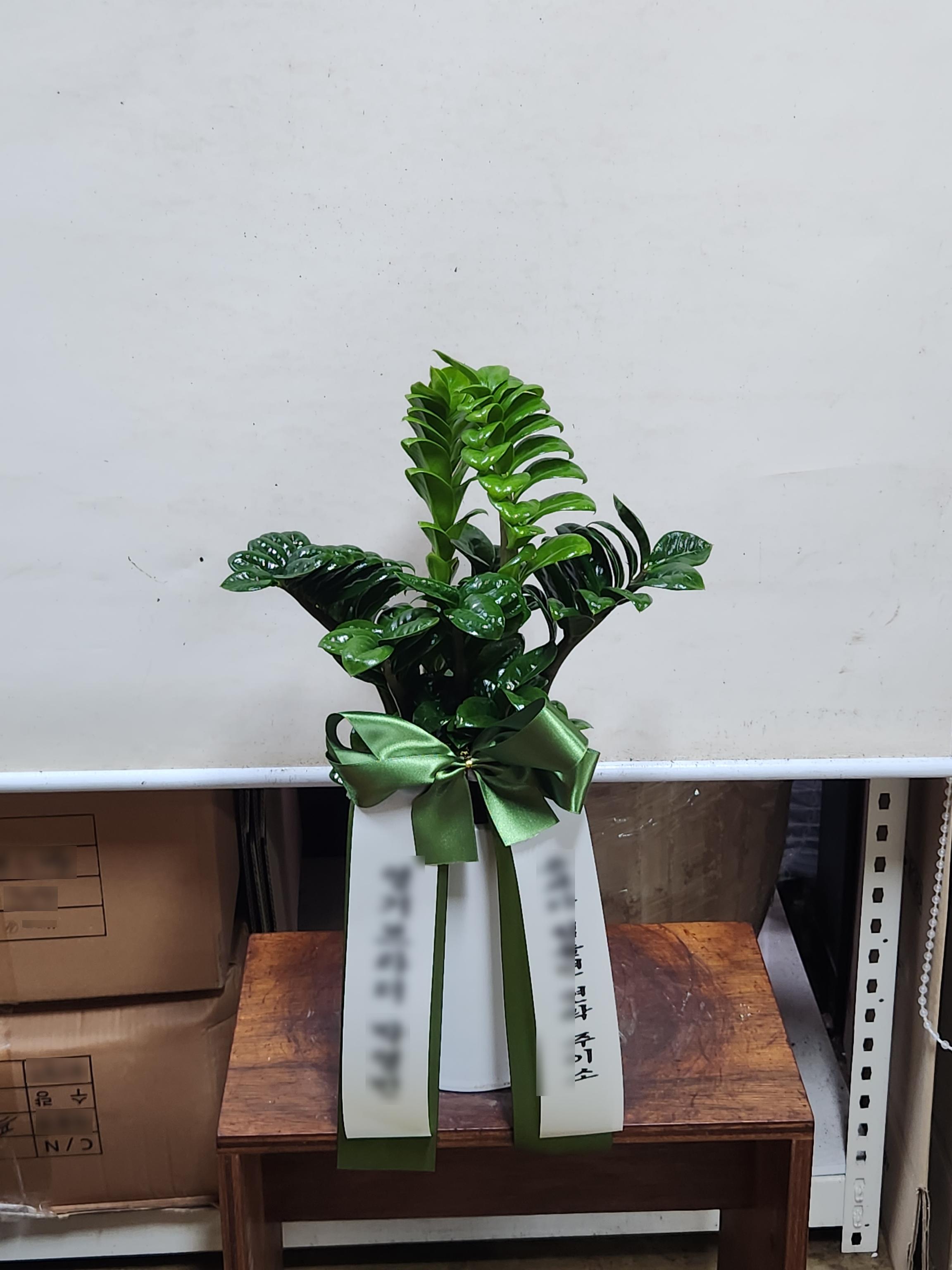 리뷰사진-0