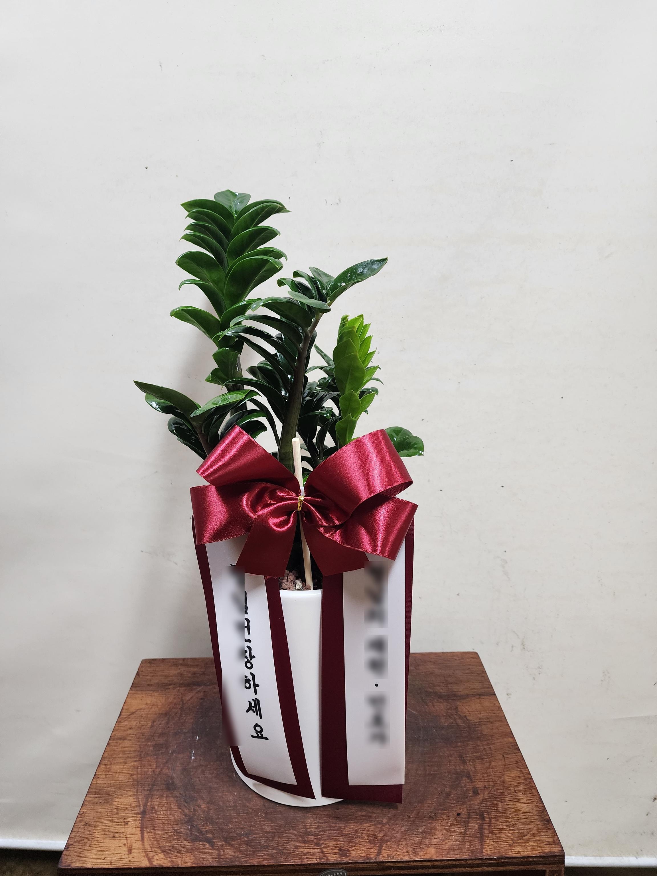 리뷰사진-0