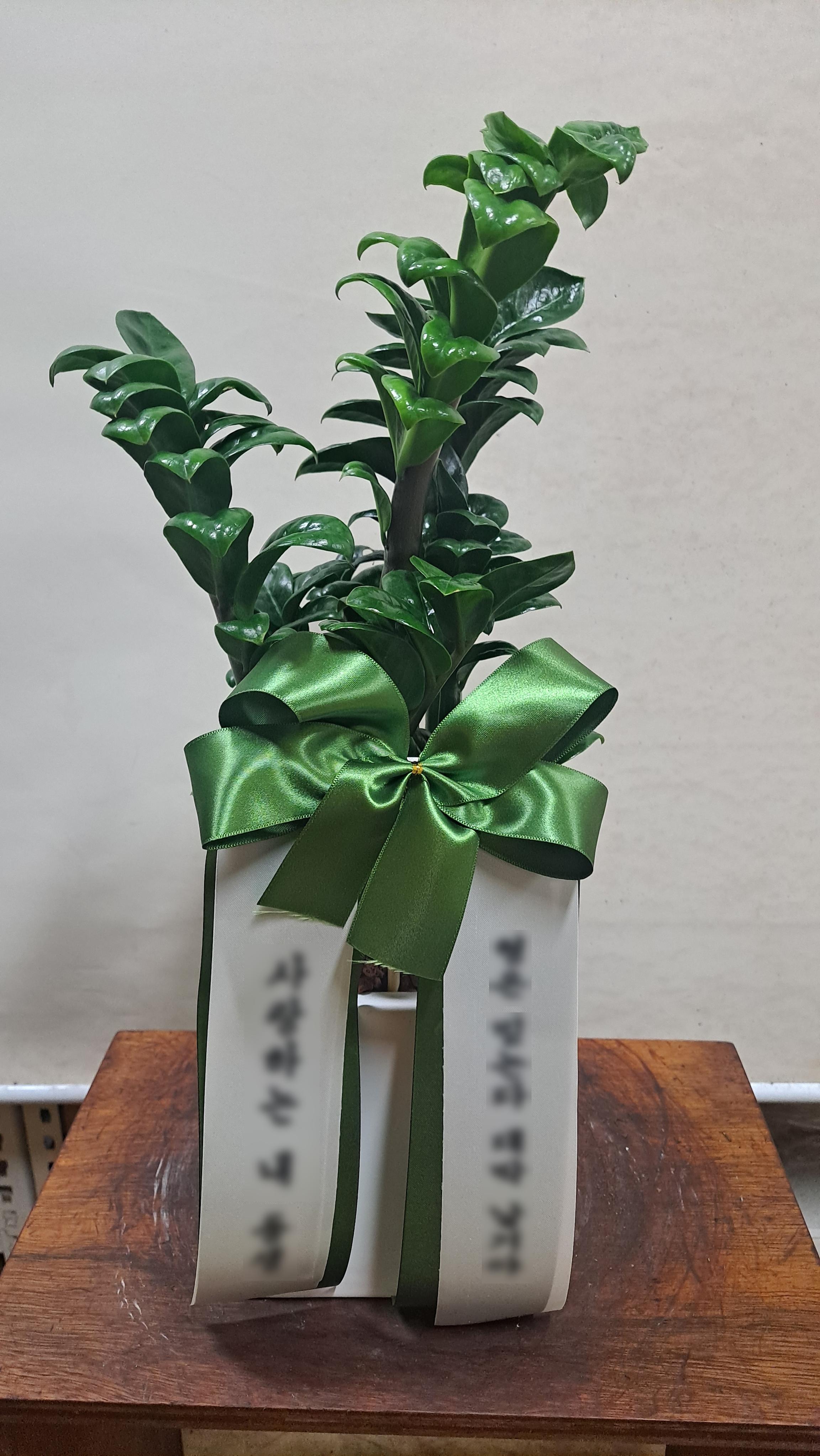 리뷰사진-0