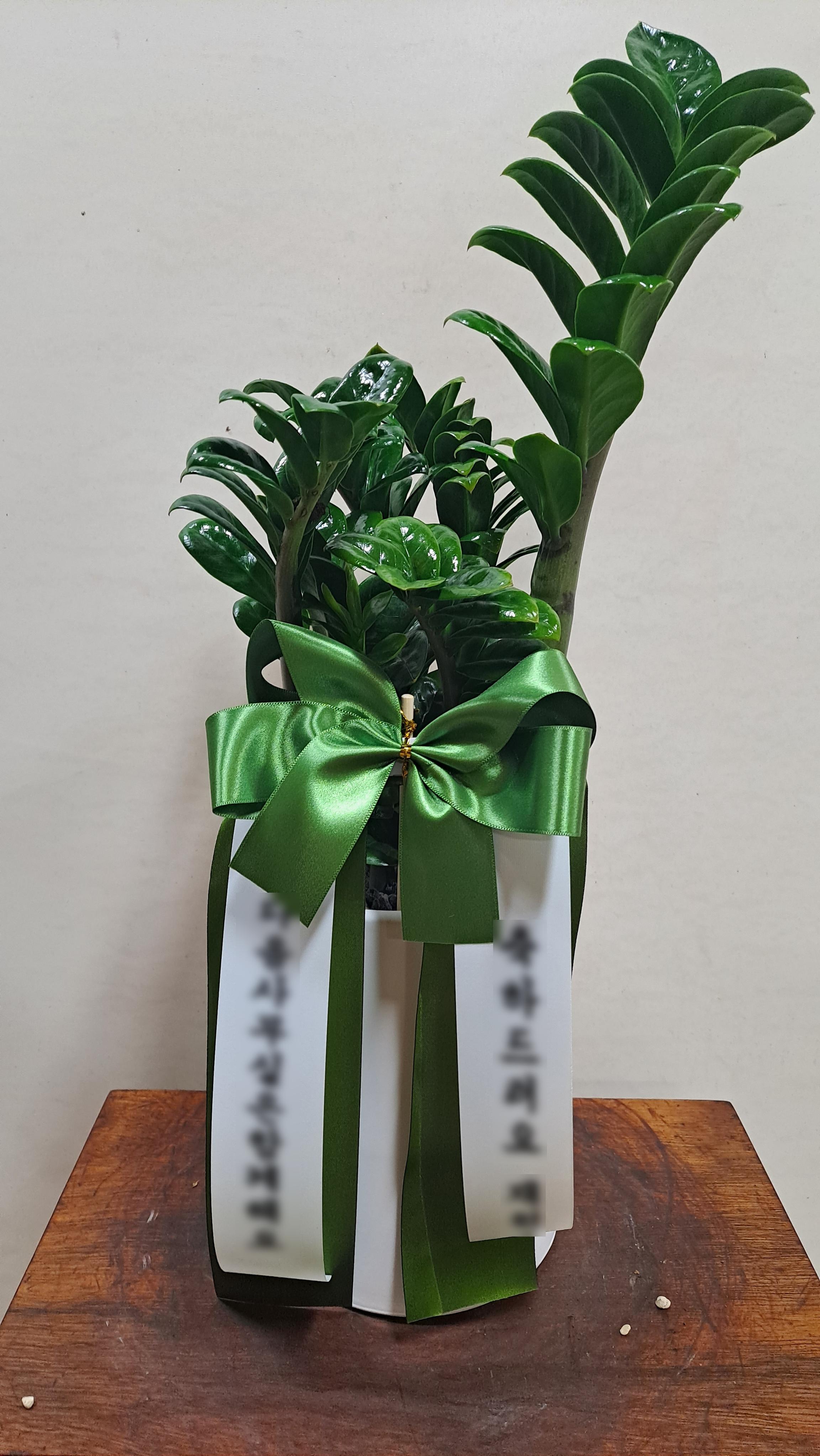 리뷰사진-0