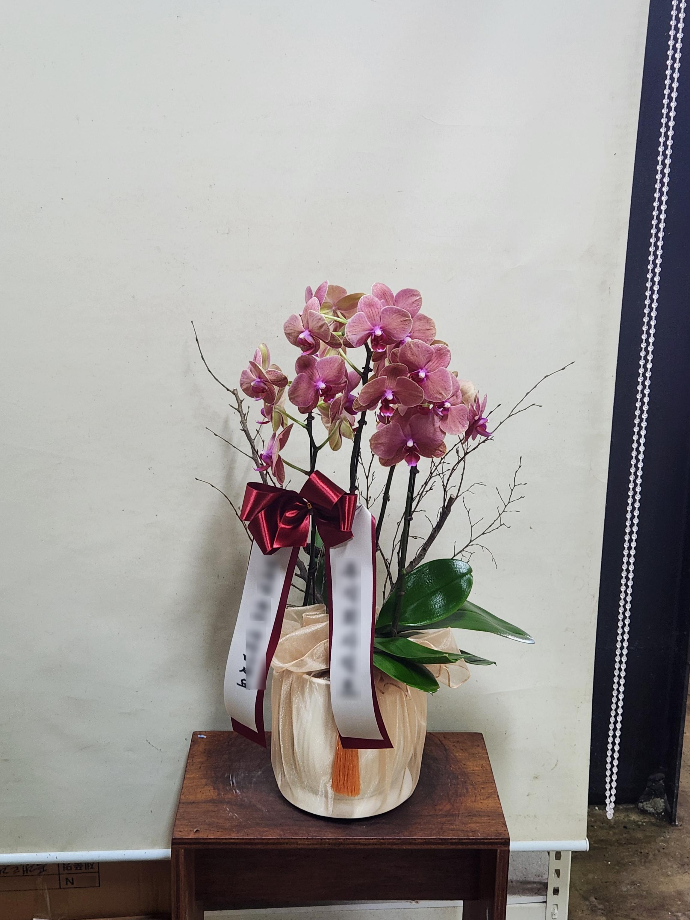 리뷰사진-0