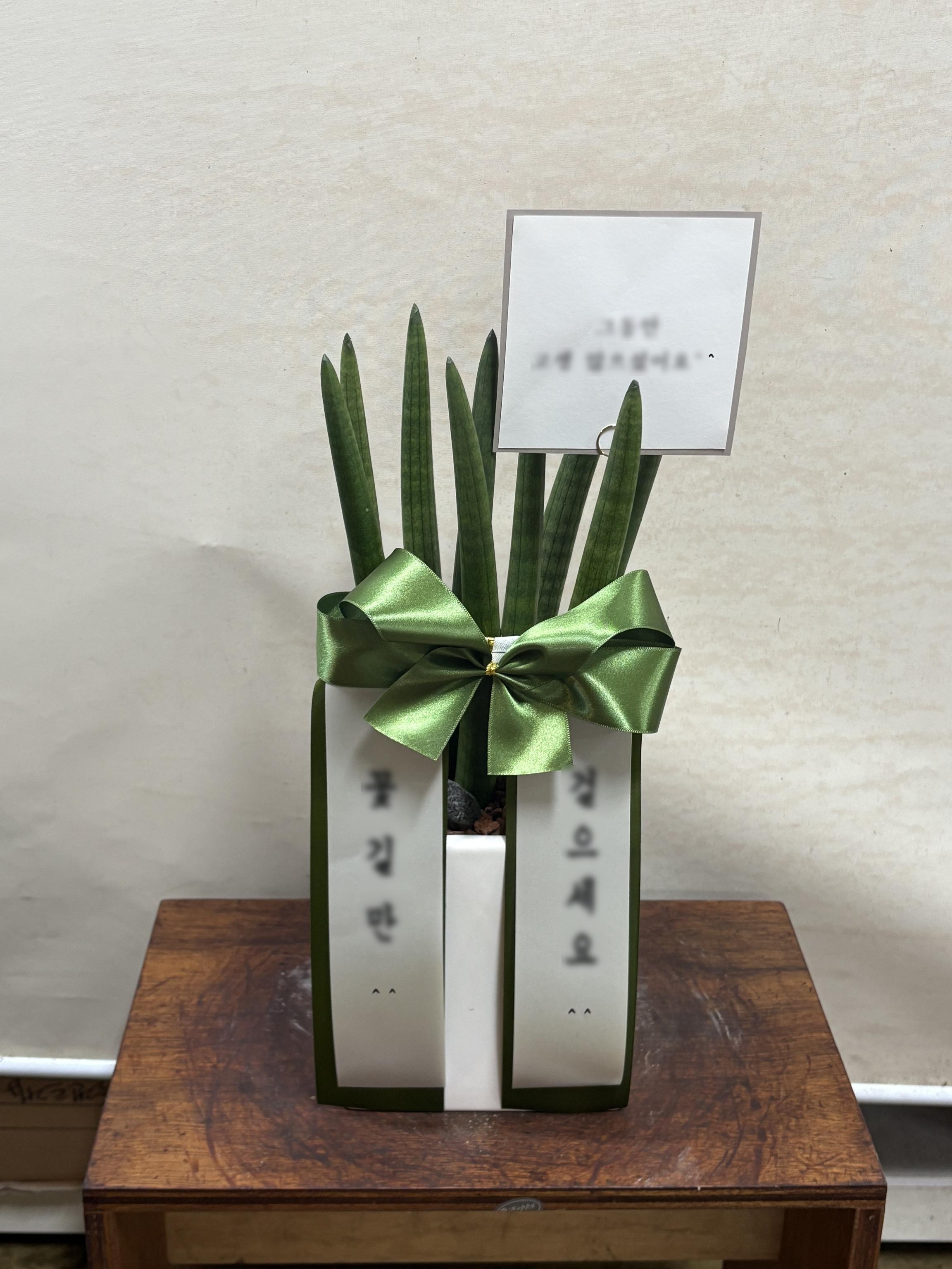 리뷰사진-0