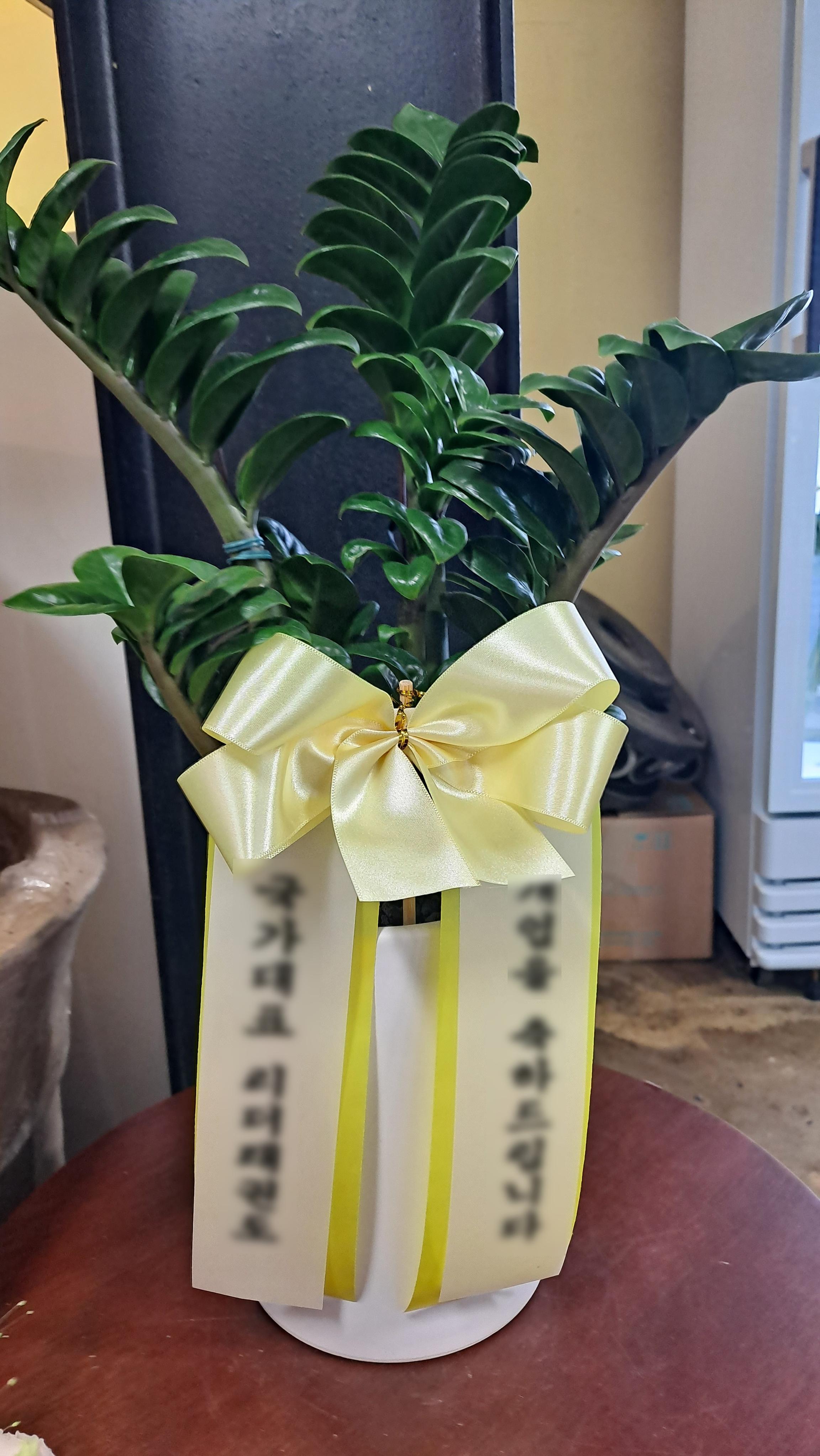 리뷰사진-1