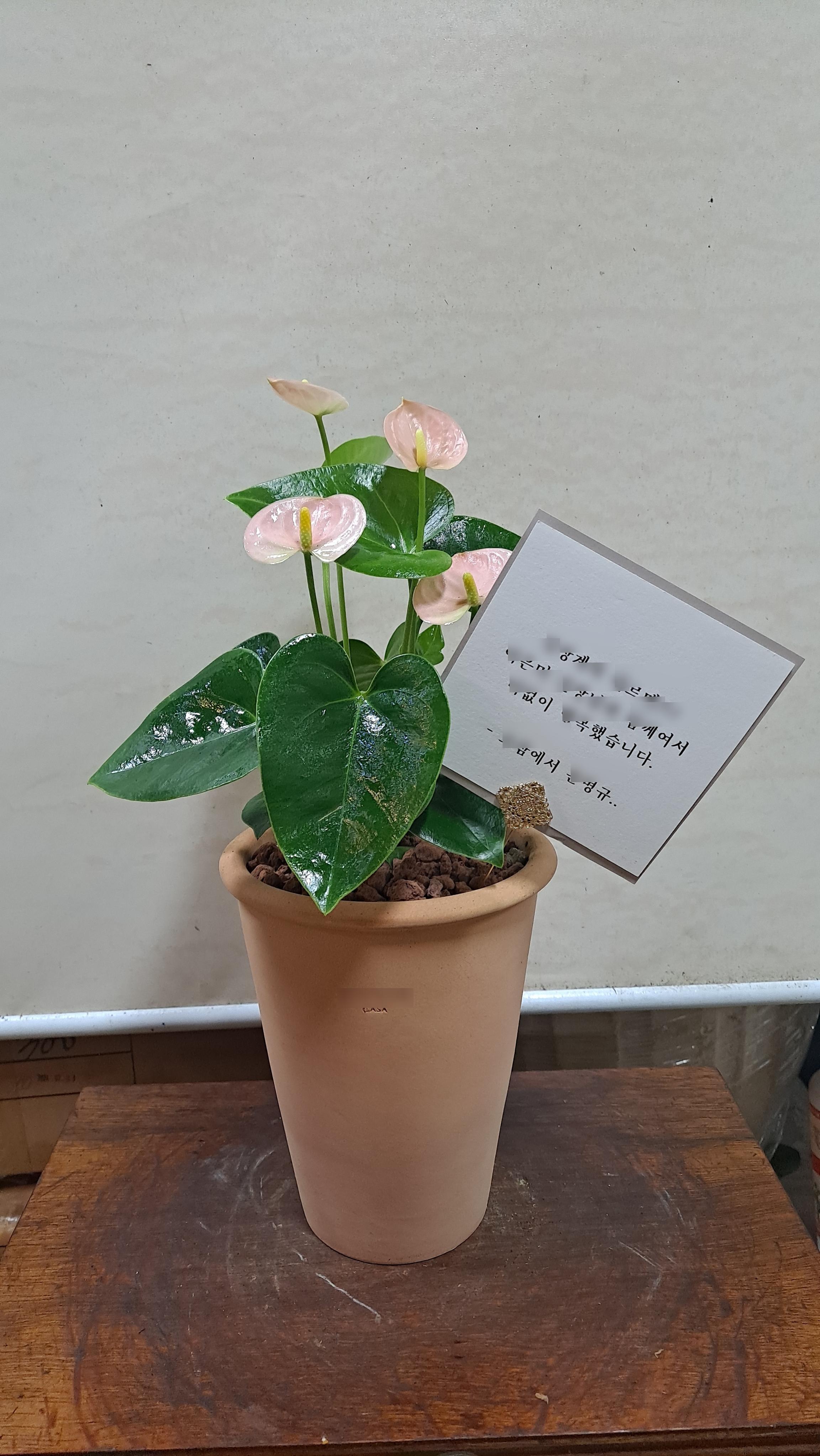 리뷰사진-0