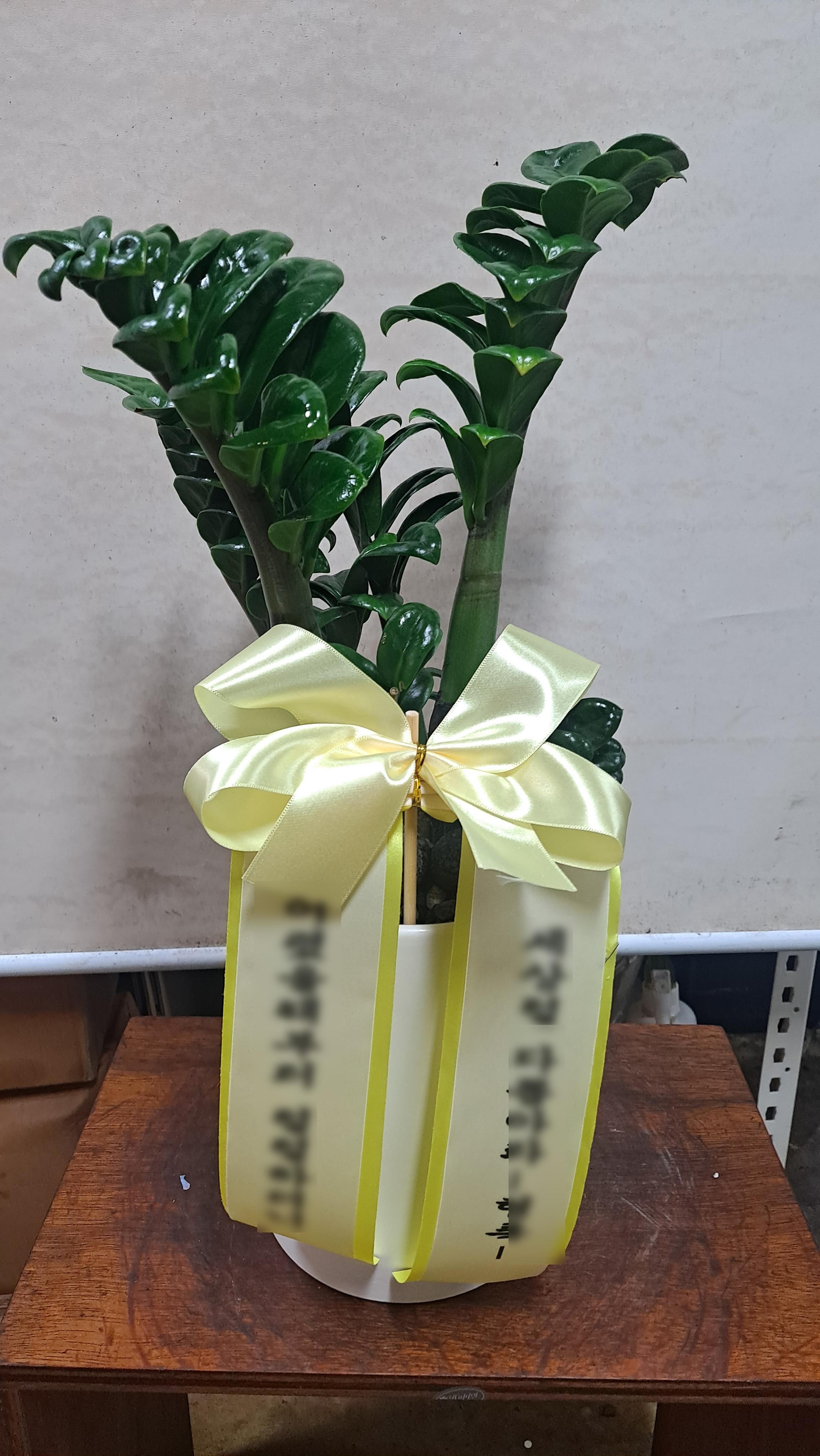 리뷰사진-0