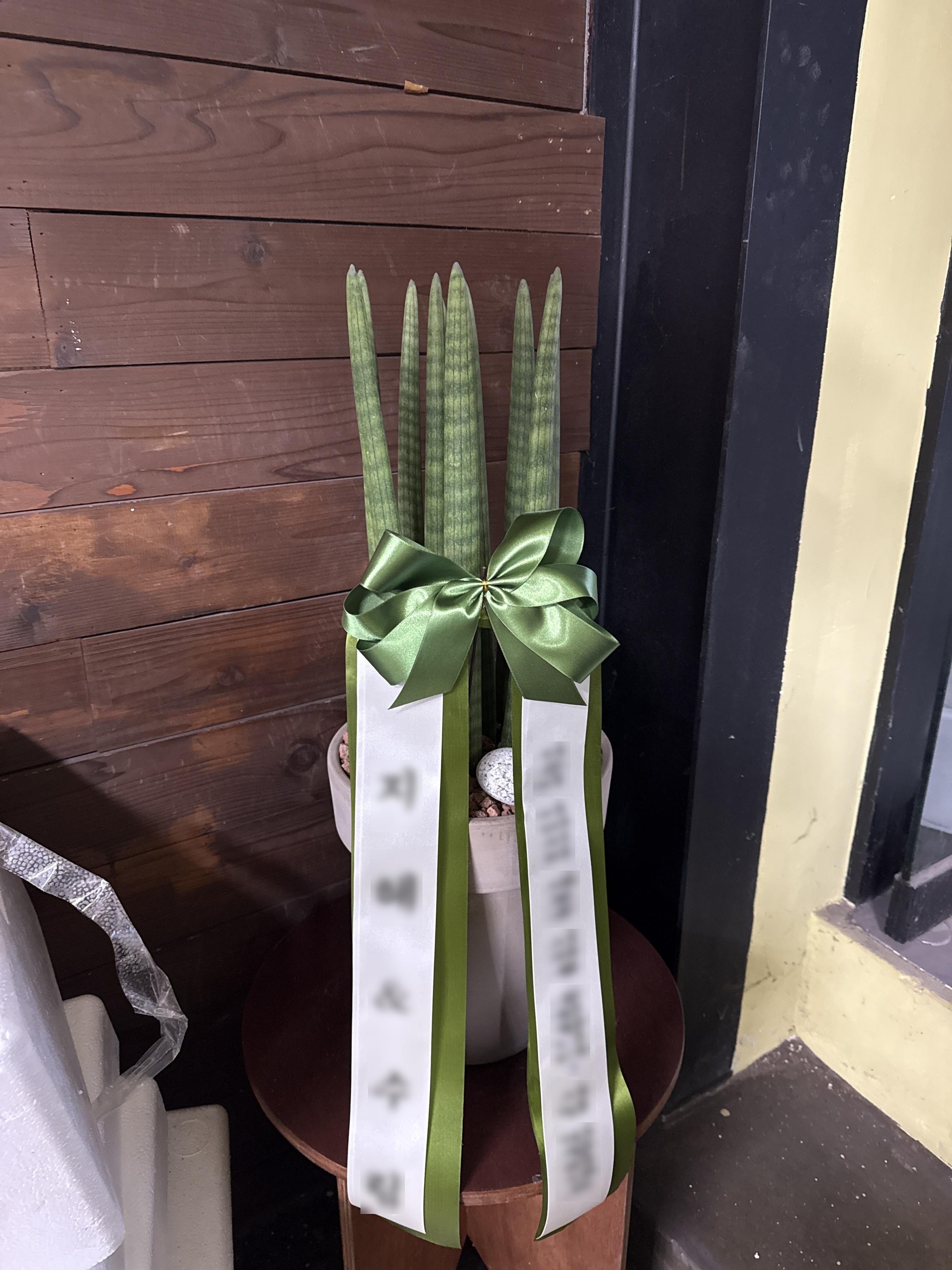 리뷰사진-0