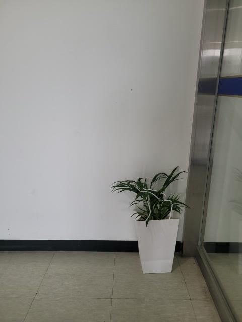 리뷰사진-0