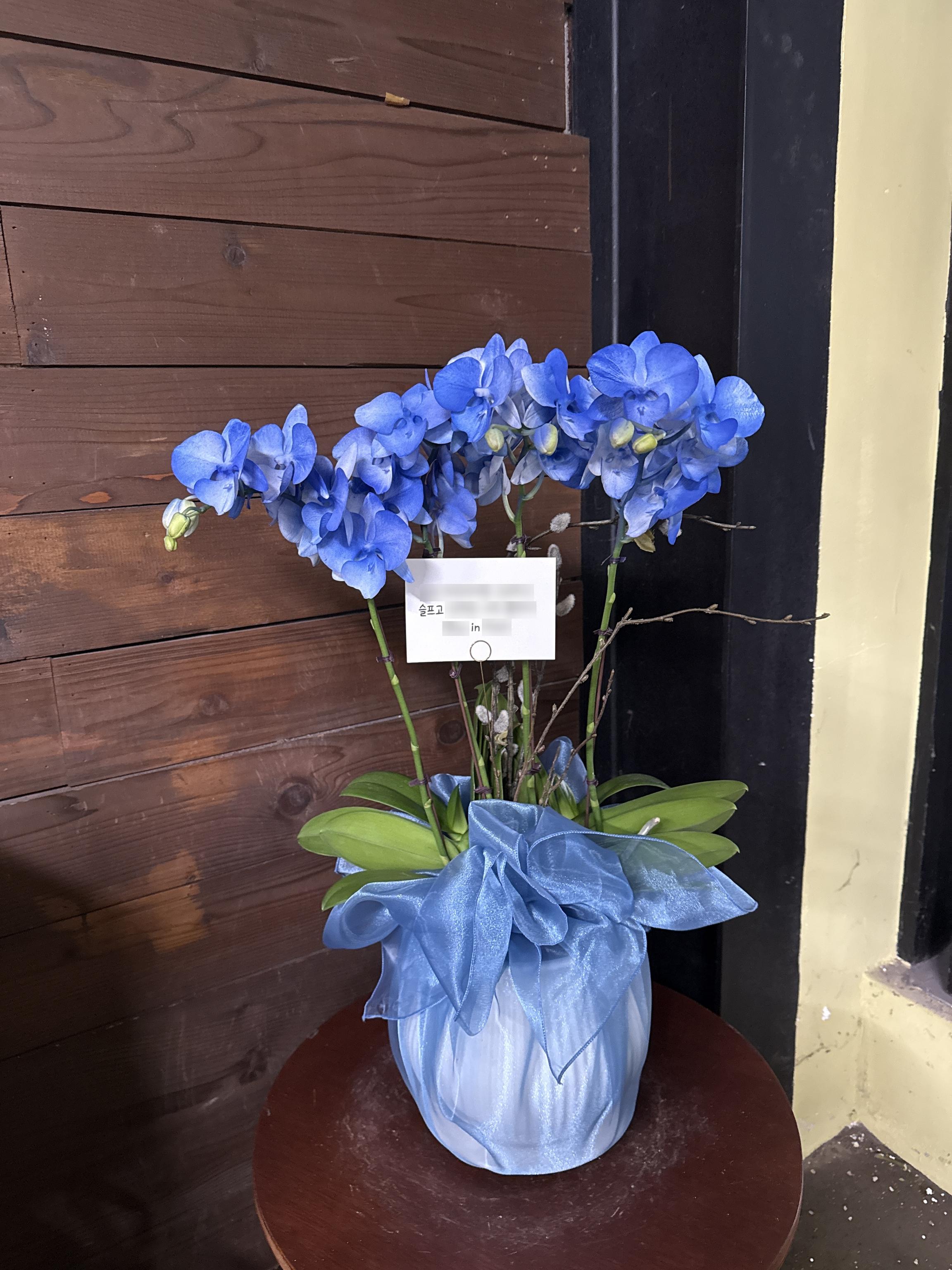 리뷰사진-0